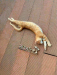 Screenshot_20260513_202620_Gallery
