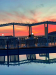 Screenshot_20260513_202631_Gallery