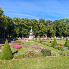 IMG_20250314_111402_516