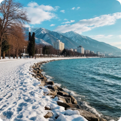 Сочи зима ии